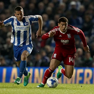 Sky Bet Championship Jigsaw Puzzle Collection: Sky Bet Championship - Brighton and Hove Albion v Birmingham City - AMEX Stadium