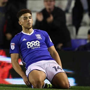 Sky Bet Championship Jigsaw Puzzle Collection: Sky Bet Championship - Birmingham City v Cardiff City - St Andrew's