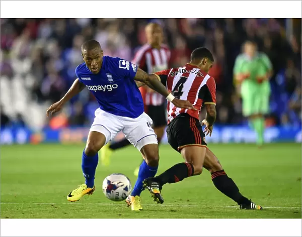 Capital One Cup - Second Round - Birmingham City v Sunderland - St. Andrew s