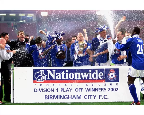 Birmingham City FC's Promotion to Premier League: Thrilling Penalty Shootout Victory in the Nationwide Division One Playoff Final (2002) against Norwich City