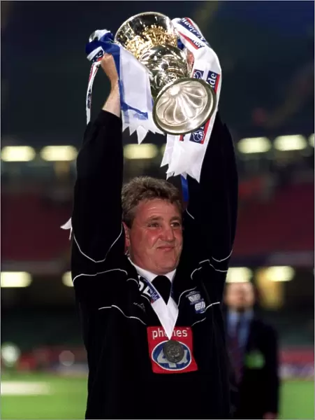 Steve Bruce's Playoff Triumph: Birmingham City FC Wins Promotion to Premier League (12-05-2002)
