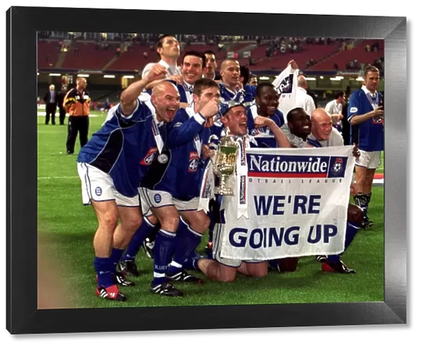 Birmingham City FC's Thrilling Promotion: Unforgettable Playoff Victory over Norwich City (May 12, 2002)
