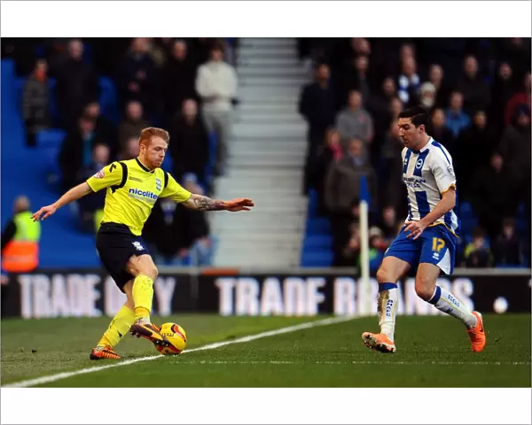 Chris Burke in Action: Birmingham City vs. Brighton and Hove Albion (Sky Bet Championship, AMEX Stadium, 11-01-2014)