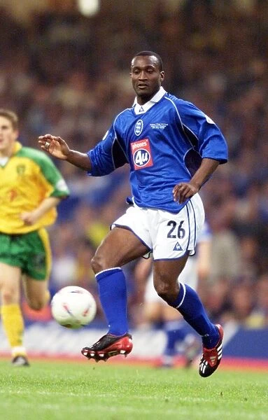 Birmingham City vs. Norwich City: Olivier Tebily's Crucial Moment in the 2002 Division One Playoff Final