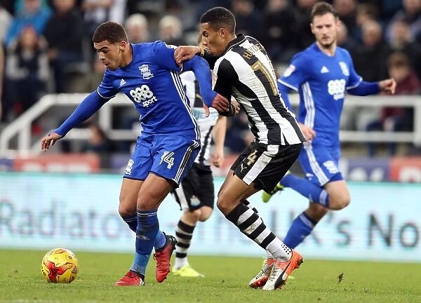 Che Adams vs. Isaac Hayden: Intense Battle in Sky Bet Championship Match between Newcastle United and Birmingham City at St. James Park
