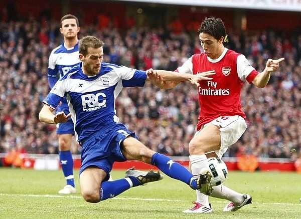Clash at Emirates: Roger Johnson vs. Samir Nasri - Birmingham City vs. Arsenal (BPL 2010)