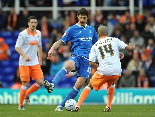 Clash of Titans: Nikola Zigic vs Ludovic Sylvestre in Birmingham City vs Blackpool Npower Championship (December 31, 2011)