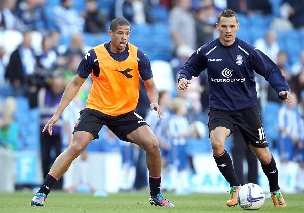 Curtis Davies and Peter Lovenkrands Gearing Up: Brighton & Hove Albion vs. Birmingham City (Npower Championship)