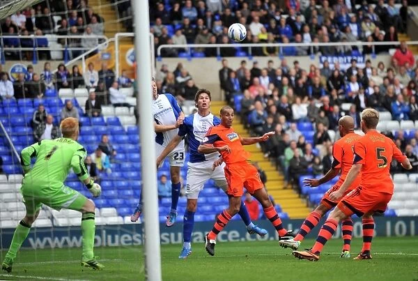 Nikola Zigic's Lone Goal: Birmingham City vs. Bolton Wanderers, Sky Bet Championship (October 5, 2013)