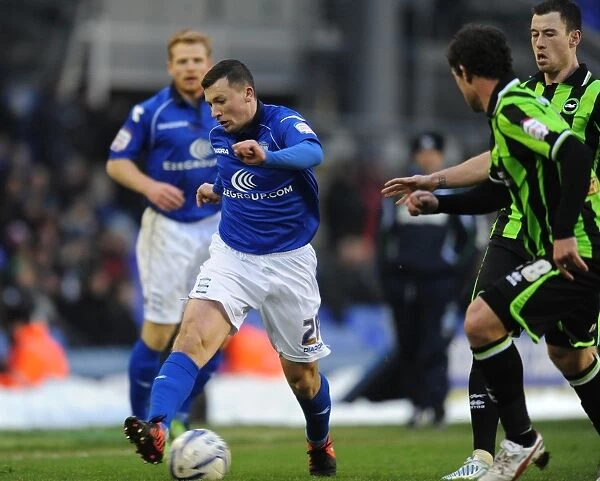 npower Football League Championship - Birmingham City v Brighton and Hove Albion - St. Andrew's