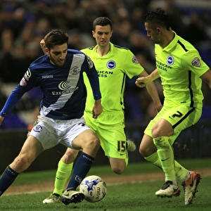 Birmingham City vs Brighton and Hove Albion: Intense Battle Between Jamie Murphy and Jon Toral in Sky Bet Championship Match