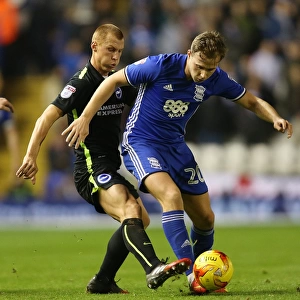 Birmingham City vs. Brighton and Hove Albion: Greg Stewart and Steve Sidwell Clash in Sky Bet Championship Match