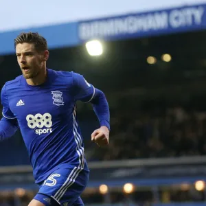 Birmingham City's Lukas Jutkiewicz Celebrates Goal Against Newcastle United in FA Cup Third Round