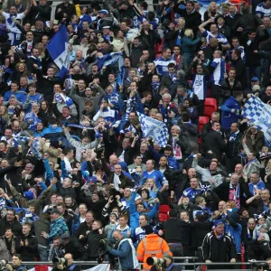 Carling Cup - Final - Arsenal v Birmingham City - Wembley Stadium