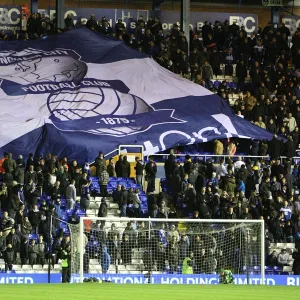 Carling Cup - Semi Final - Second Leg - Birmingham City v West Ham United - St. Andrew s