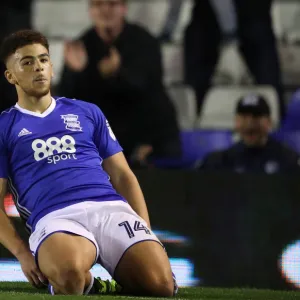 Sky Bet Championship Collection: Sky Bet Championship - Birmingham City v Cardiff City - St Andrew's