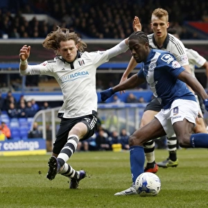 Sky Bet Championship Jigsaw Puzzle Collection: Sky Bet Championship - Birmingham City v Fulham - St.Andrews