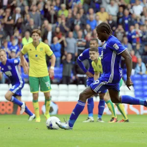 Sky Bet Championship Photographic Print Collection: Sky Bet Championship - Birmingham City v Norwich City - St Andrew's