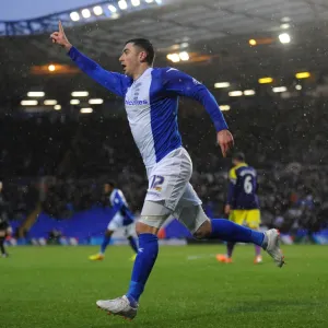 FA Cup Framed Print Collection: FA Cup : Round 4 : Birmingham City v Swansea City : St. Andrew's : 25-01-2014