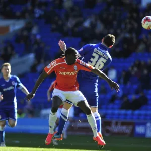 Sky Bet Championship Collection: Sky Bet Championship - Cardiff City v Birmingham City - Cardiff City Stadium