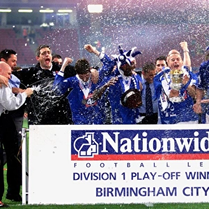 Nationwide League Division One - Playoff Final - Birmingham City v Norwich City