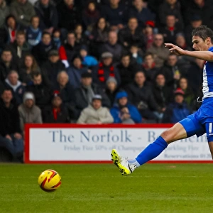 Nikola Zigic's Game-Winning Goal for Birmingham City vs. AFC Bournemouth (Sky Bet Championship)