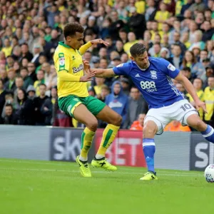 Norwich City vs Birmingham City: Clash between Jutkiewicz and Murphy at Carrow Road