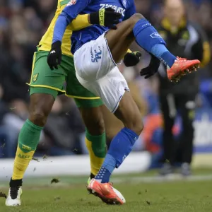 Sky Bet Championship Framed Print Collection: Sky Bet Championship - Birmingham City v Norwich City - St. Andrew's