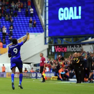 Sky Bet Championship - Birmingham City v Norwich City - St Andrew s