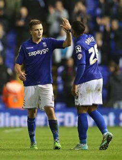 Images Dated 29th November 2014: Birmingham City FC: Championship Glory - Stephen Gleeson and David Davis's Jubilant Moment with