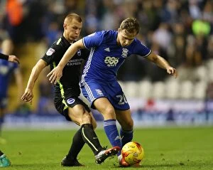 Images Dated 17th December 2016: Birmingham City vs. Brighton and Hove Albion: Greg Stewart and Steve Sidwell Clash in Sky Bet
