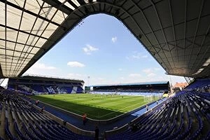 Images Dated 30th July 2011: Birmingham City vs Everton: Pre-Season Friendly at St. Andrew's