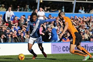Images Dated 31st October 2015: Birmingham City vs. Wolves: A Riveting Showdown in Sky Bet Championship - Gray vs