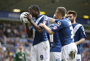 Sky Bet Championship Collection: Sky Bet Championship - Birmingham City v Bristol City - St. Andrews