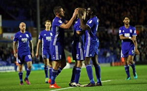 Birmingham City's Lukas Jutkiewicz Scores Second Goal Against Rotherham United in Sky Bet Championship