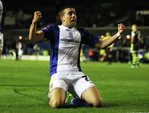 Capital One Cup - Fourth Round - Birmingham City v Stoke City - St. Andrew s