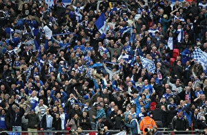 Carling Cup - Final - Arsenal v Birmingham City - Wembley Stadium