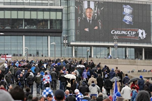 Carling Cup - Final - Arsenal v Birmingham City - Wembley Stadium