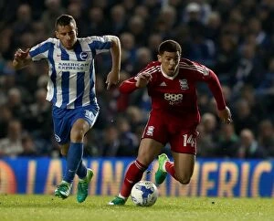 Images Dated 4th April 2017: Che Adams vs Tomer Hemed: Intense Rivalry in the Championship Clash at AMEX Stadium