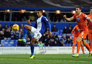 Images Dated 23rd November 2013: Jesse Lingard Scores First Goal: Birmingham City's Victory Over Blackpool in Sky Bet Championship