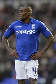 Sky Bet Championship - Birmingham City v Norwich City - St. Andrew's Collection: Lloyd Dyer in Action: Birmingham City vs Norwich City - Sky Bet Championship at St. Andrew's