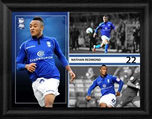Images Dated 22nd November 2012: Nathan Redmond Framed Player Profile Print