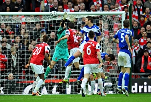 Nikola Zigic Scores Historic Goal: Birmingham City's First in Carling Cup Final Against Arsenal at Wembley Stadium