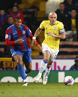npower Football League Championship - Crystal Palace v Birmingham City - Selhurst Park npower Football League Championship - Crystal Palace v Birmingham City - Selhurst Park