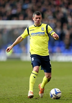 Paul Robinson in Action: Birmingham City vs. Ipswich Town, Sky Bet Championship (01-03-2014)