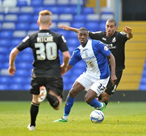 Sky Bet Championship Collection: Sky Bet Championship : Birmingham City v Bournemouth : St. Andrew's : 29-03-2014