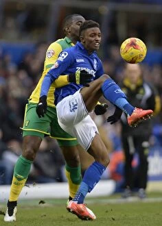 Images Dated 31st January 2015: Sky Bet Championship - Birmingham City v Norwich City - St. Andrew s